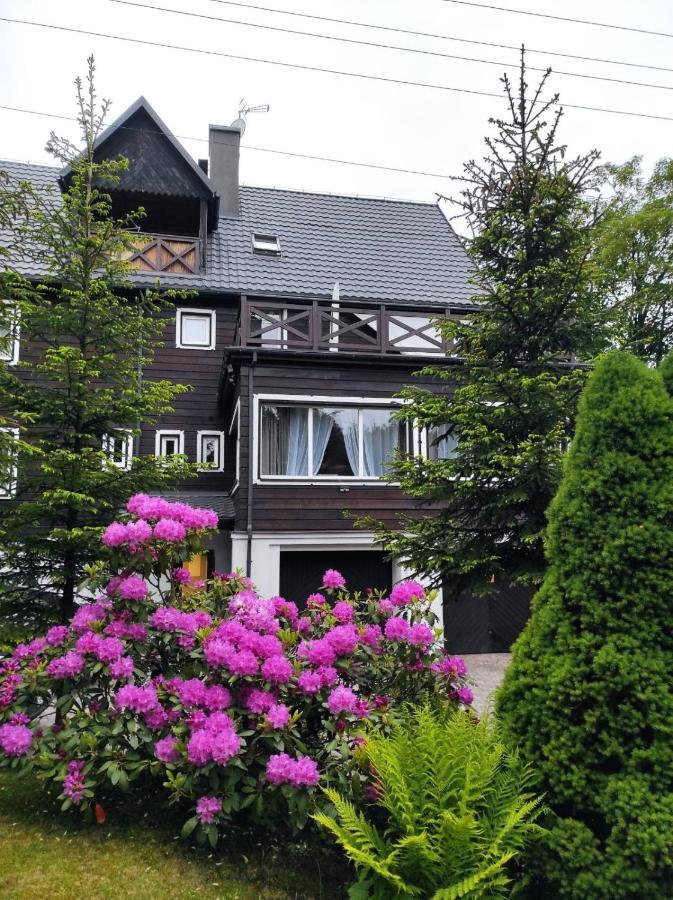 Willa Klonowa Wisła Exterior foto